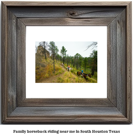 family horseback riding near me in South Houston, Texas